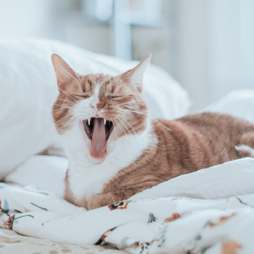 16 Ways Dating A Libra Woman Will Set Your Life On Fire