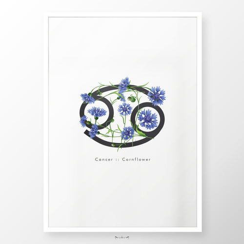 Zodiac Flowers | CANCER :: Cornflower