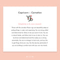 Zodiac Flowers | CAPRICORN :: Carnation