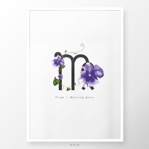 Zodiac Flowers | VIRGO :: Morning Glory