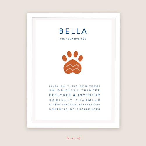 AQUARIUS Dog (Jan 21 - Feb 18)