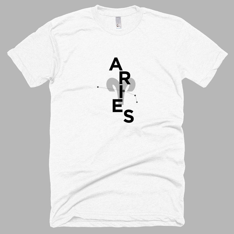 ARIES Men T-shirt :: Collage
