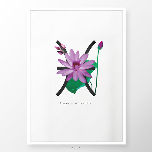 Zodiac Flowers | PISCES :: Water Lily