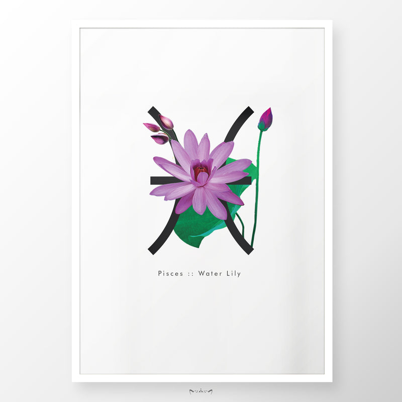 Zodiac Flowers | PISCES :: Water Lily