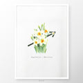 Zodiac Flowers | SAGITTARIUS :: Narcissus